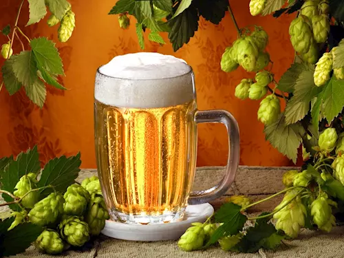 Slavnosti piva se odehrávají již tradičně v Táboře