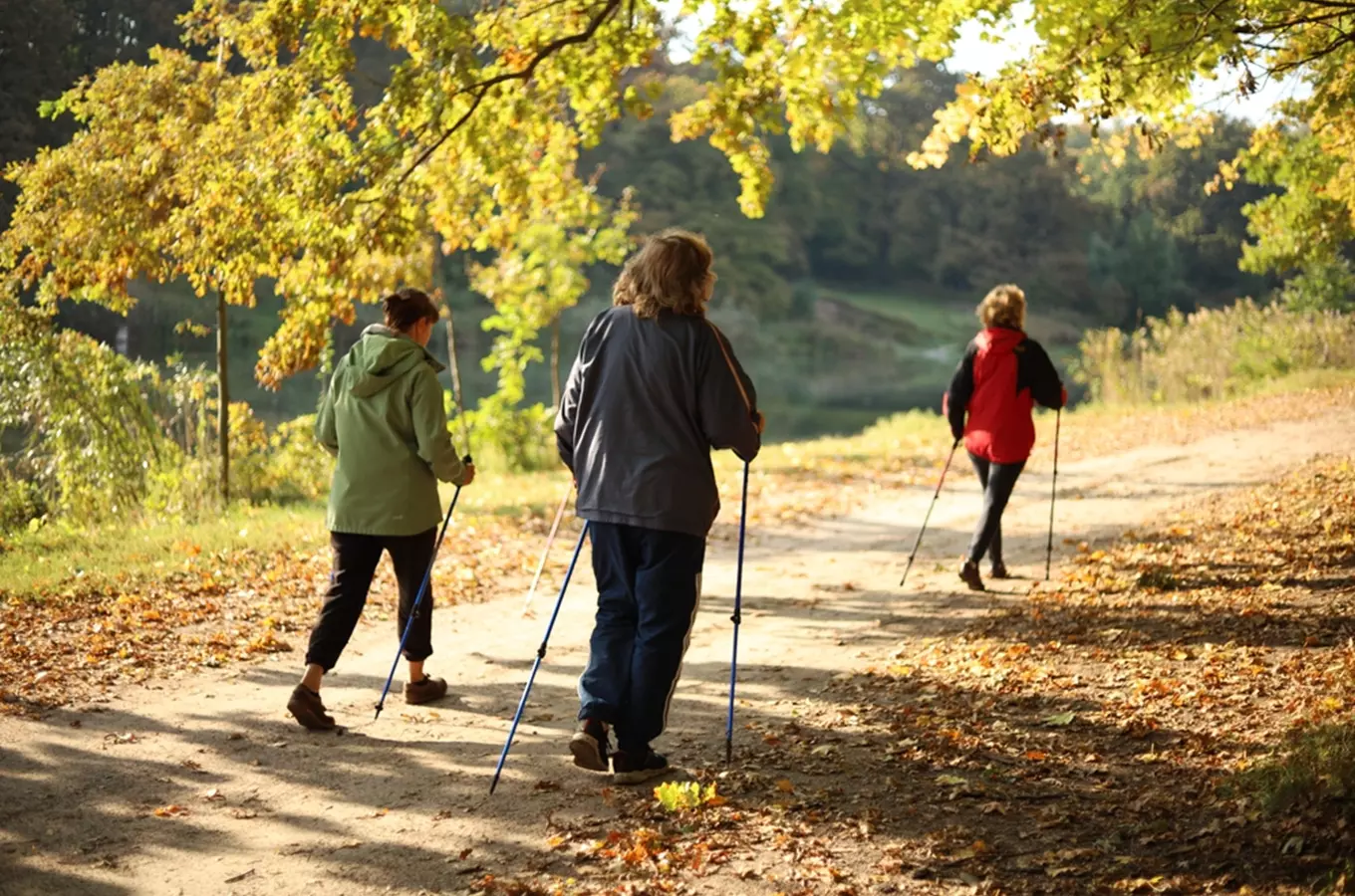 Propadněte Nordic Walkingu: tipy, kam na výlet s hůlkami sami i s profesionály