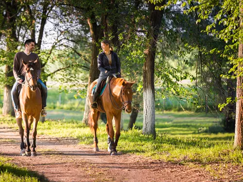 Svět ze hřbetu koně: 35 tipů na ranče, jízdárny a koňské stezky