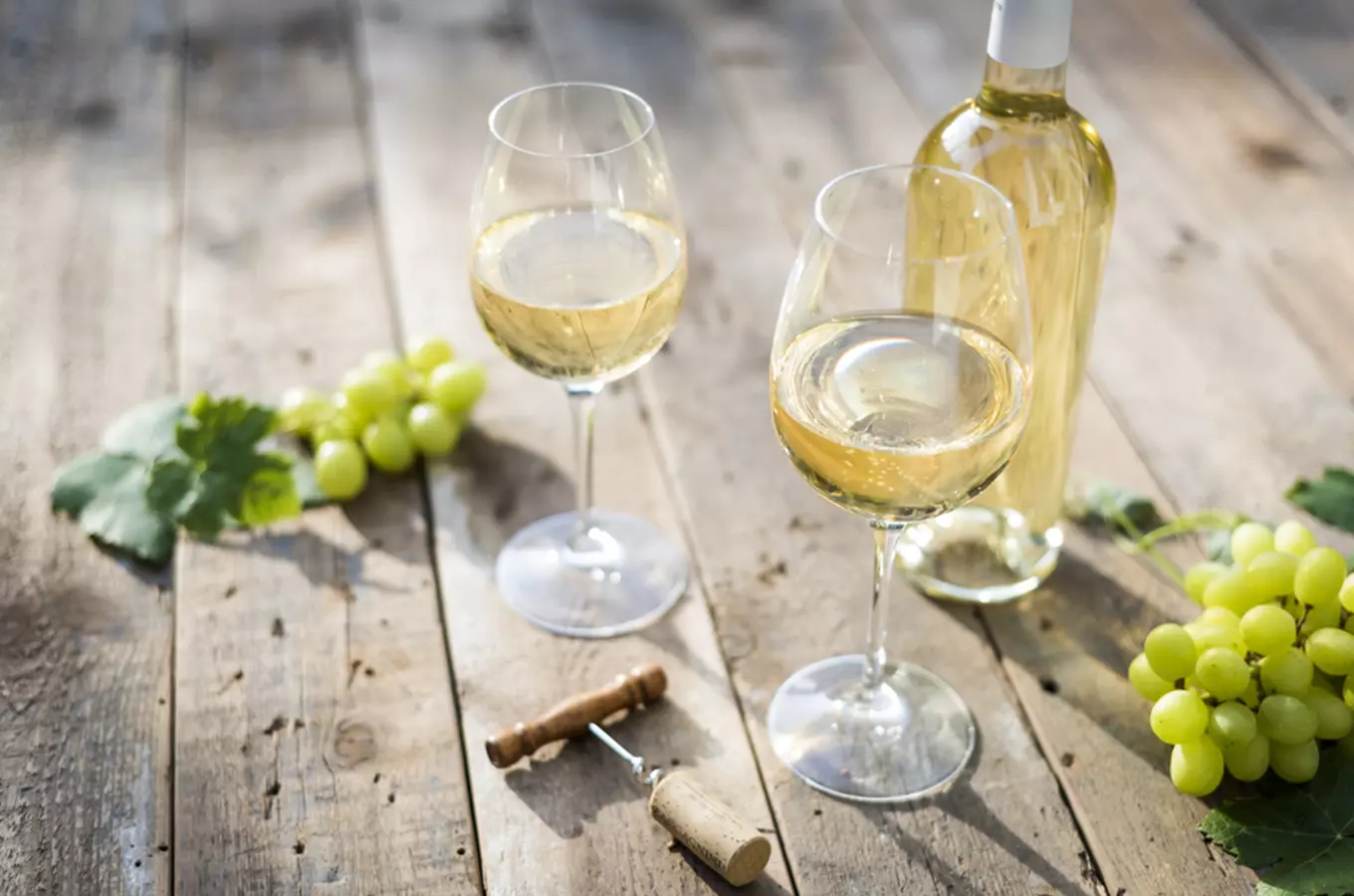 Nejlepším vínem České republiky 2022 je Chardonnay barrique Zámeckého vinařství Bzenec