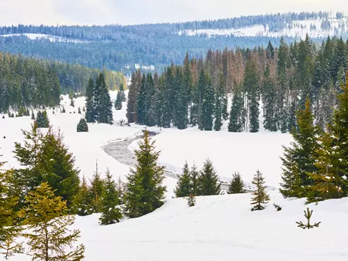 Šumava, Kudy z nudy, výlet do přírody