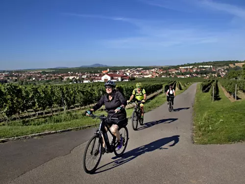 Krajem vína – Putování za burčákem po Modrých Horách 2024