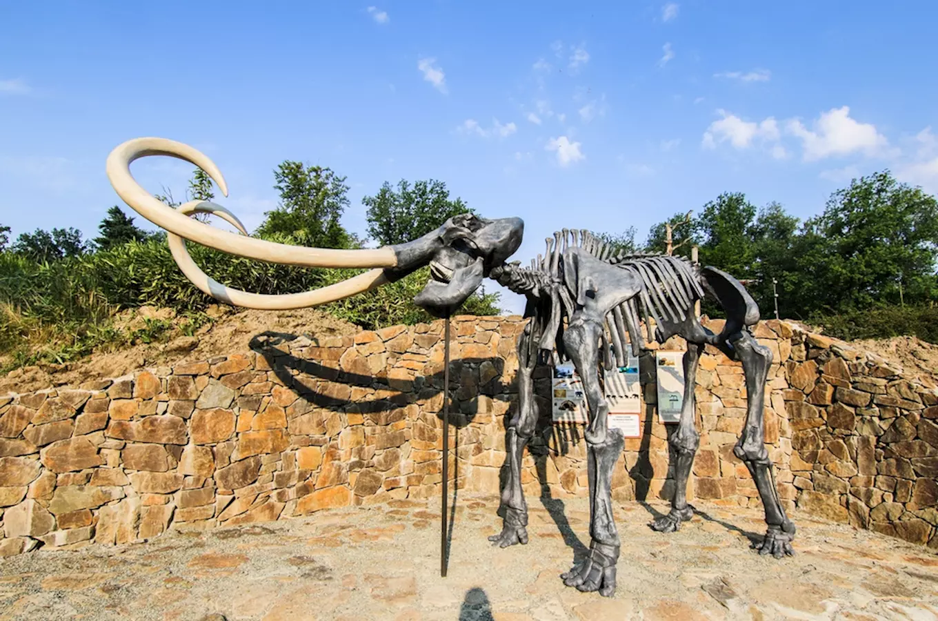 Model mamuta v životní velikosti v Zoo Ostrava