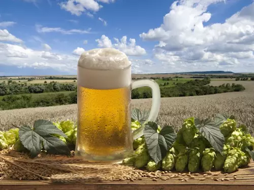 Královský veletrh pivovarnictví probíhá na hradě Křivoklát 