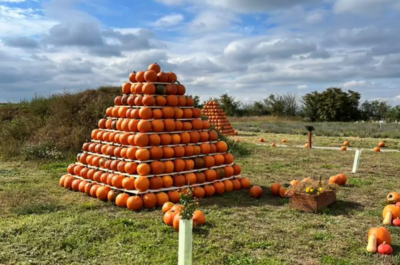 Svět dýní a pyramid 2024