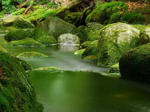 Řeka Kamenice – nejoblíbenější divoká voda v Česku