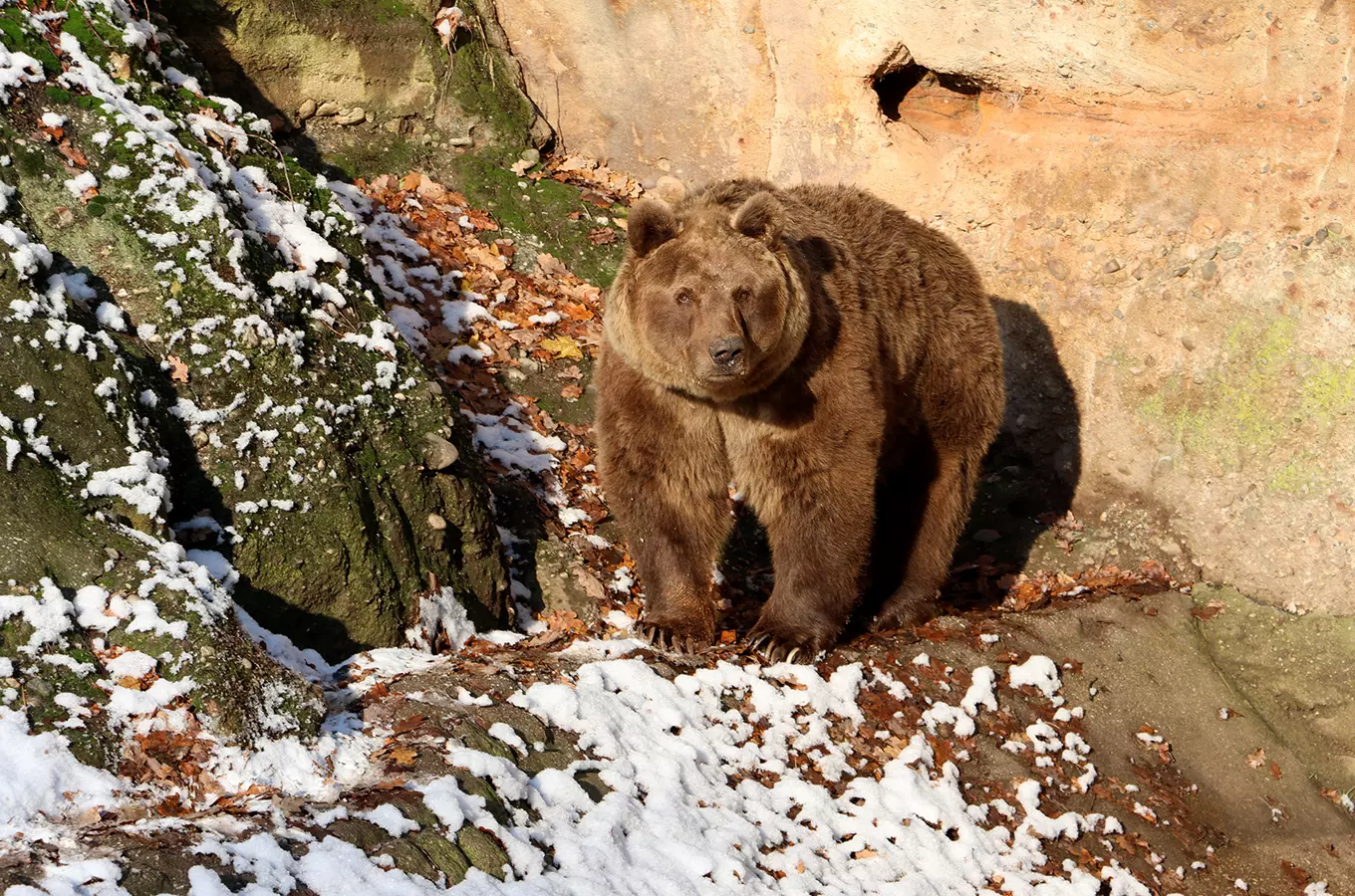 Čertovské odpoledne v Zoo Plzeň