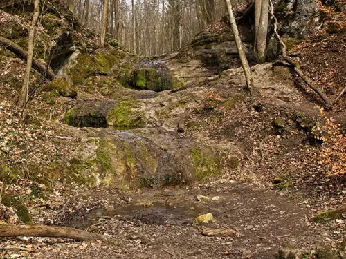 Národní přírodní rezervace Karlštejn