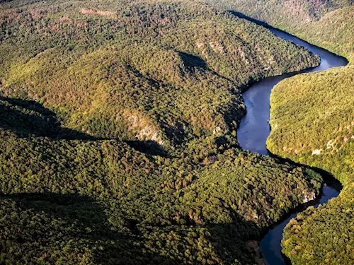 Řeka Dyje – královna národního parku Podyjí