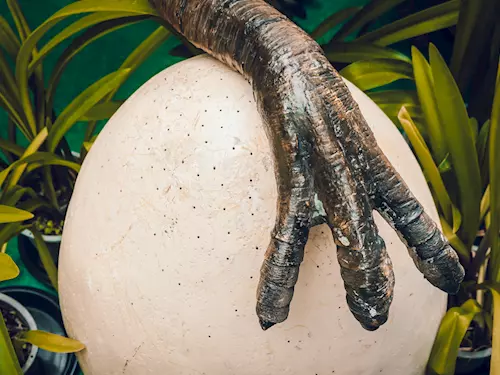 Muzeum Karla Zemana připravilo velikonoční hledání dinosauřích vajec!