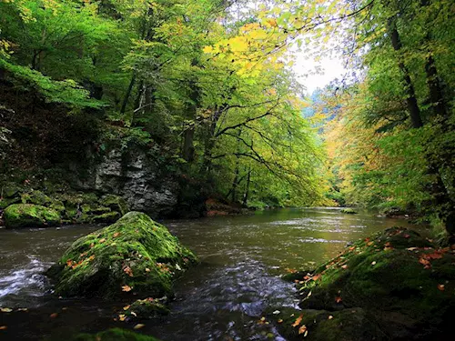 Řeka Rokytná – pravostranný přítok Jihlavy