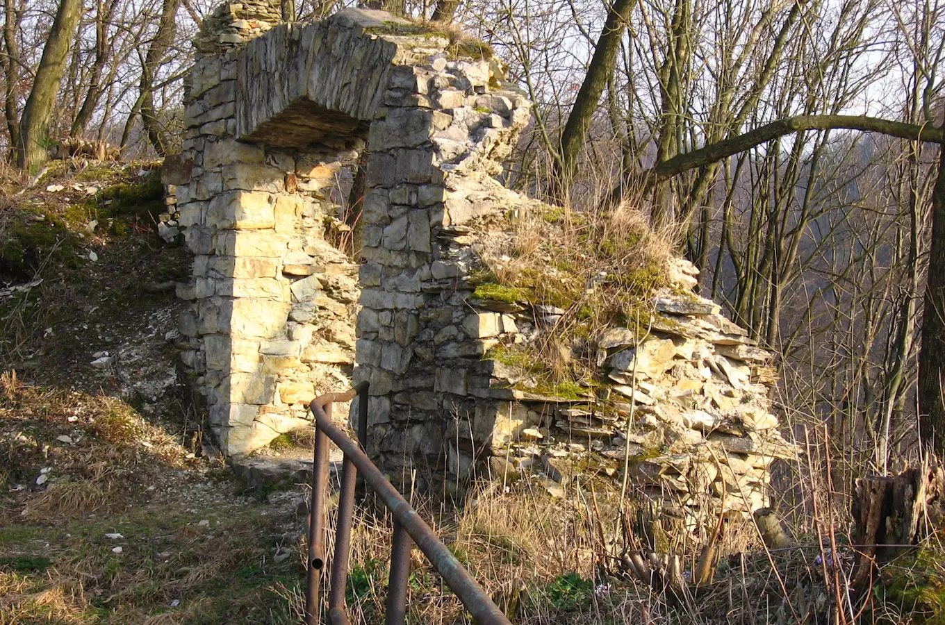 Zřícenina hradu Brandýs nad Orlicí  