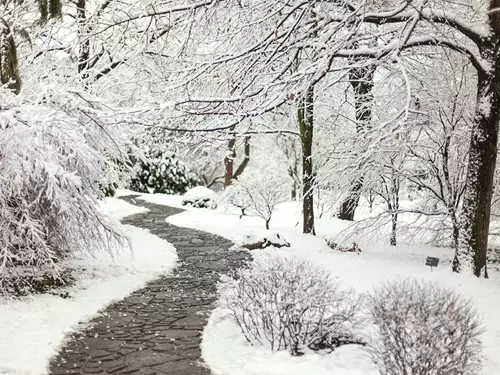 Zdroj foto: Botanická zahrada hlavního města Praha