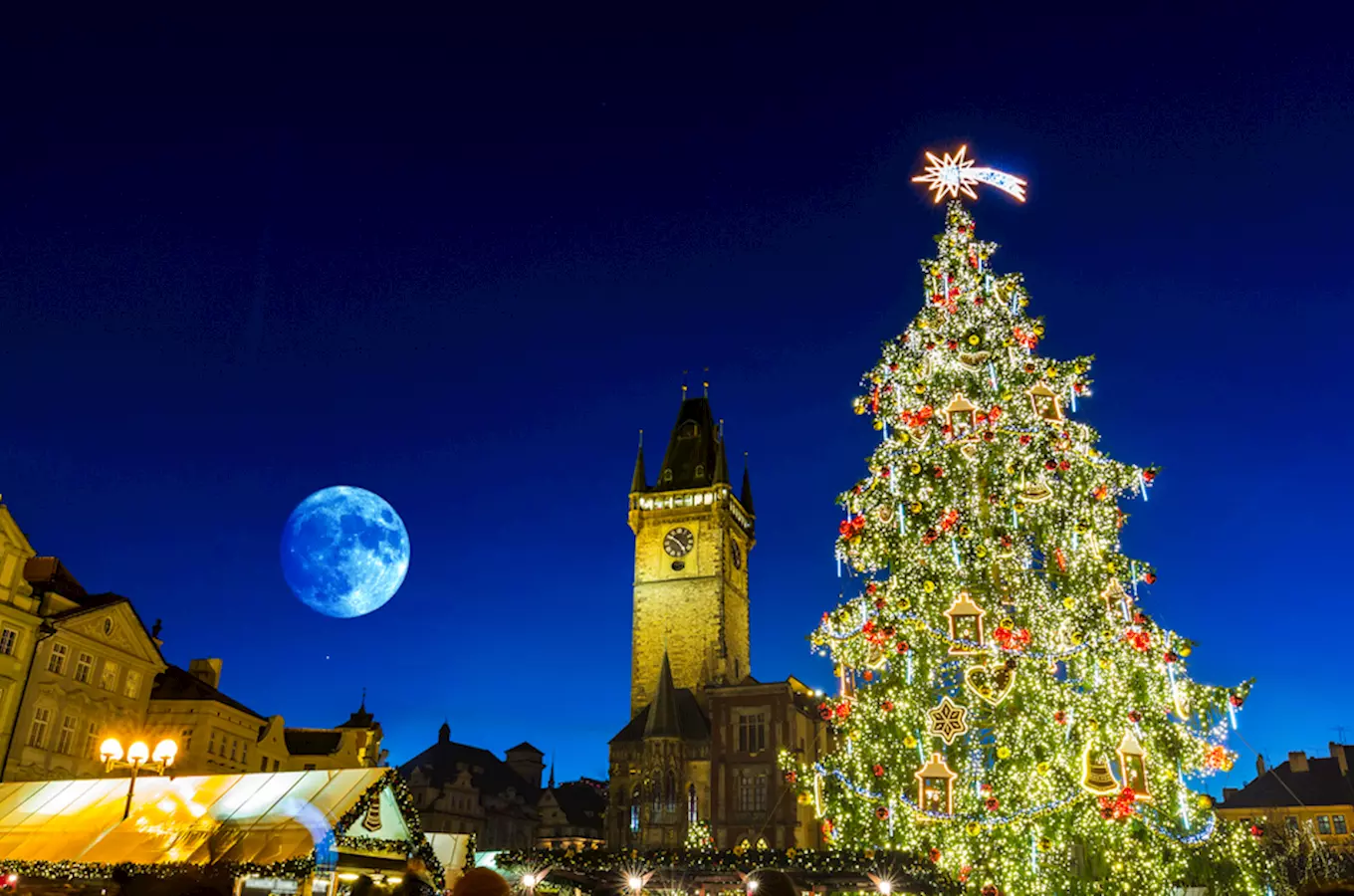 Strom pro letošní Vánoce v Praze je 19 metrů vysoký krasavec z Jílového