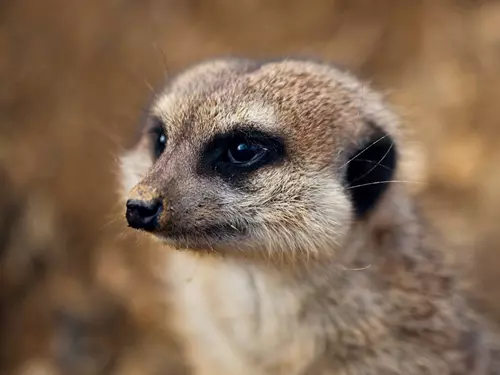 Den dětí v Zoo Tábor 2025