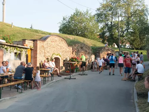 Otevřené sklepy ve Tvořihrázi