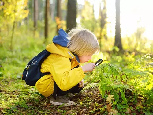 19. Mezinárodní výstava Českého křečího klubu