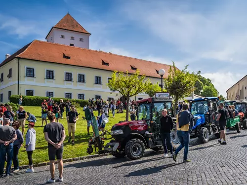 Čejkovická vinná stezka