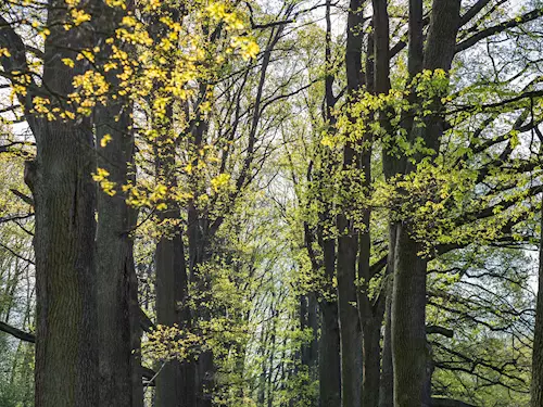 Zámecký park