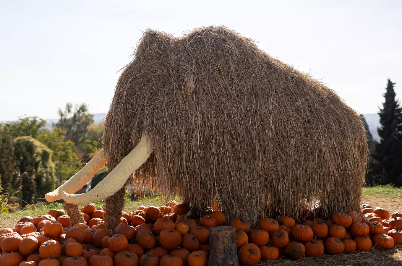 Pravěký Halloween v botanické zahradě v Troji 2026