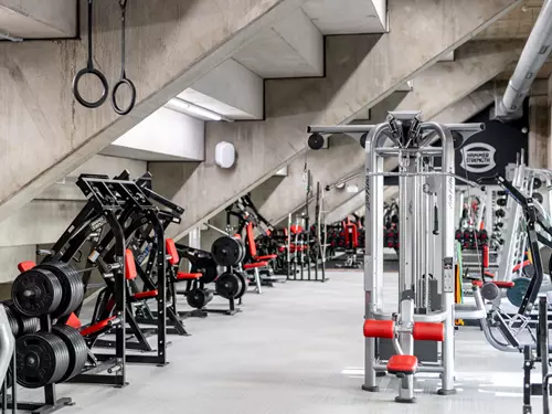 Hammer Strength Fitness