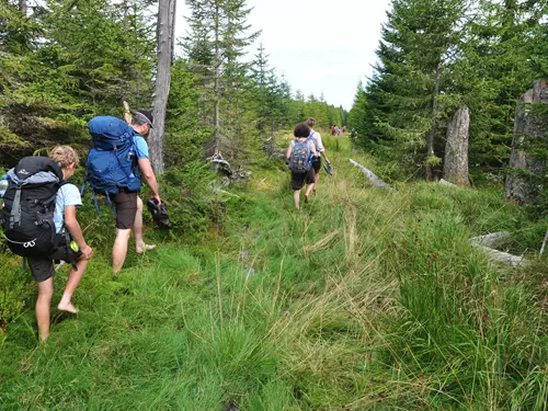 Velká exkurze napříč národními parky Šumava a Bavorský les