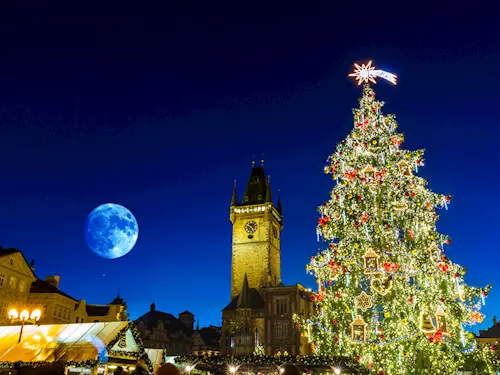 Strom pro letošní Vánoce v Praze je 19 metrů vysoký krasavec z Jílového