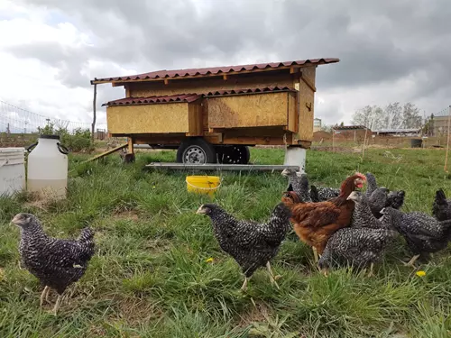 MetroFarm –⁠⁠⁠⁠⁠⁠ komunitní zahrady a městské farmy v Praze