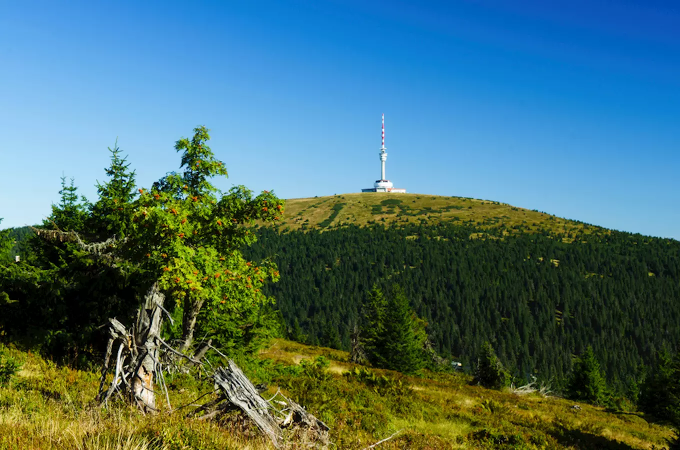 Nejvyšší dostupné místo v České republice – rozhledna na Pradědu