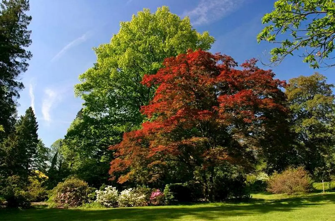 Arboretum Nový Dvůr, kudy z nudy