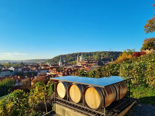 Svatý Martin na Vinici – Wine & Food Festival 2023
