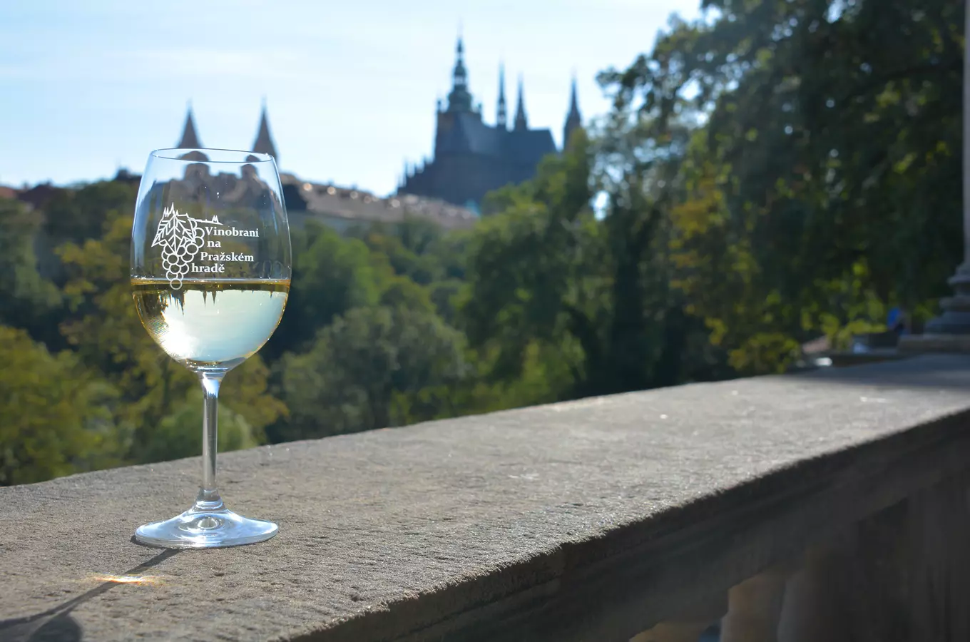 Vinobraní na Pražském hradě, foto SPH