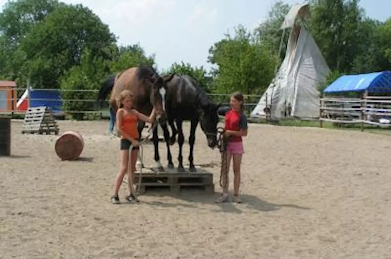 Western a Natural horse-man-ship výcvik v České Lípě