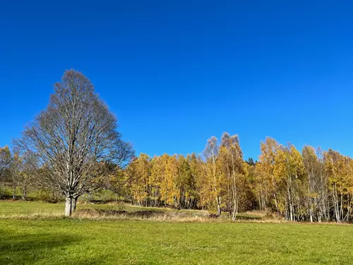 Louky nad Srním