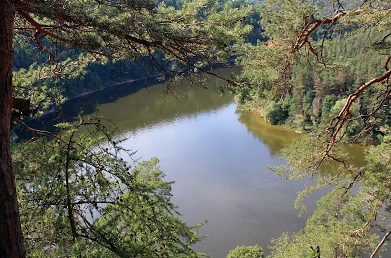 Přírodní rezervace Staré duby u Dalešické přehrady