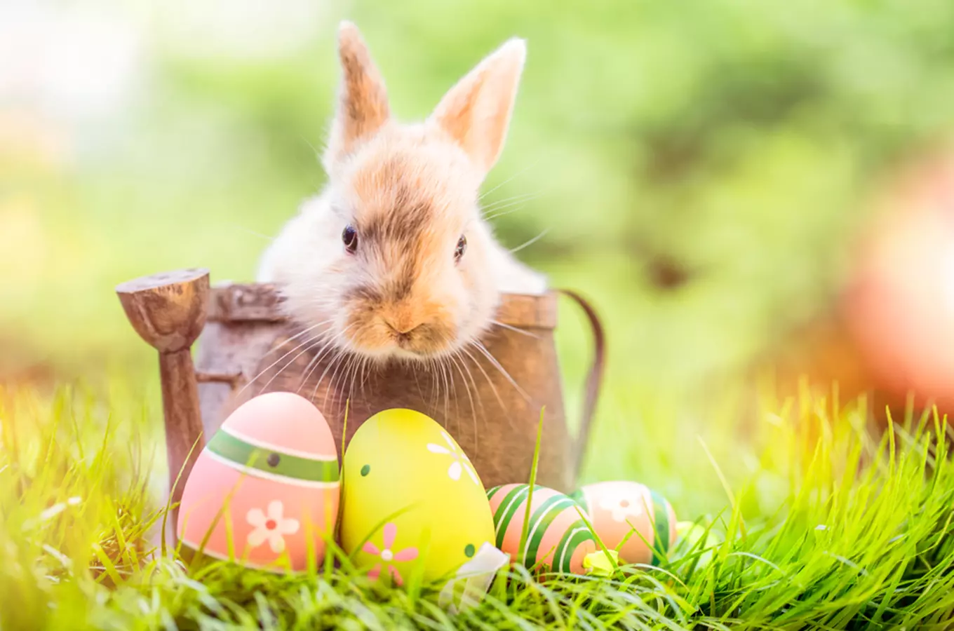 20 nápadů na tvůrčí a zábavné Velikonoce: trhy, prohlídky a programy pro děti