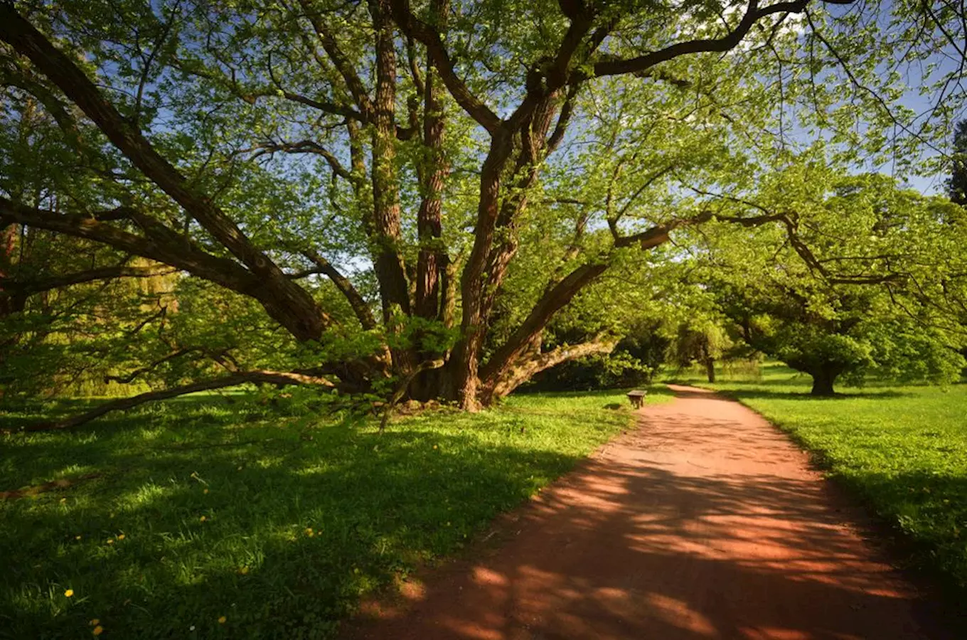 Zámecký park Buchlovice