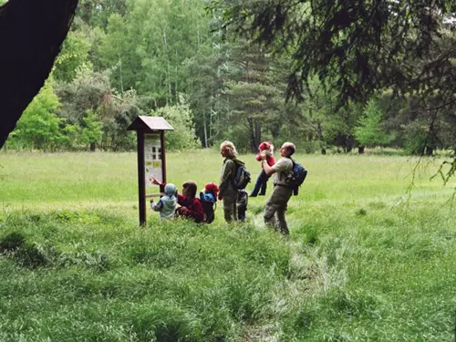 Jindřišské údolí