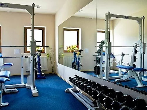 Hotel Alpina fitness