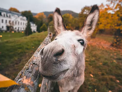 Podzim na Karlštejně