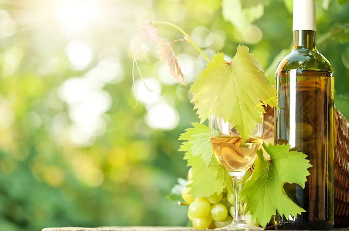 Nejlepším vínem České republiky 2019 je Rulandské bílé Zámeckého vinařství Bzenec