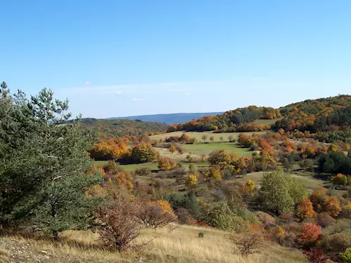 Chráněná krajinná oblast Český kras