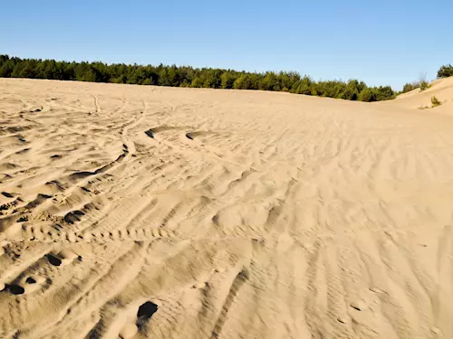 Národní přírodní památka Váté písky u Bzence – moravská Sahara