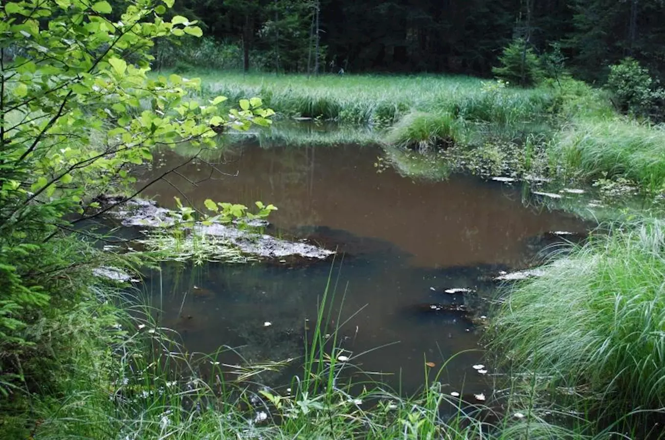 Přírodní rezervace Ranská jezírka