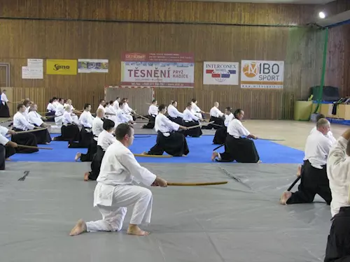 Aikido - cvicení s mecem