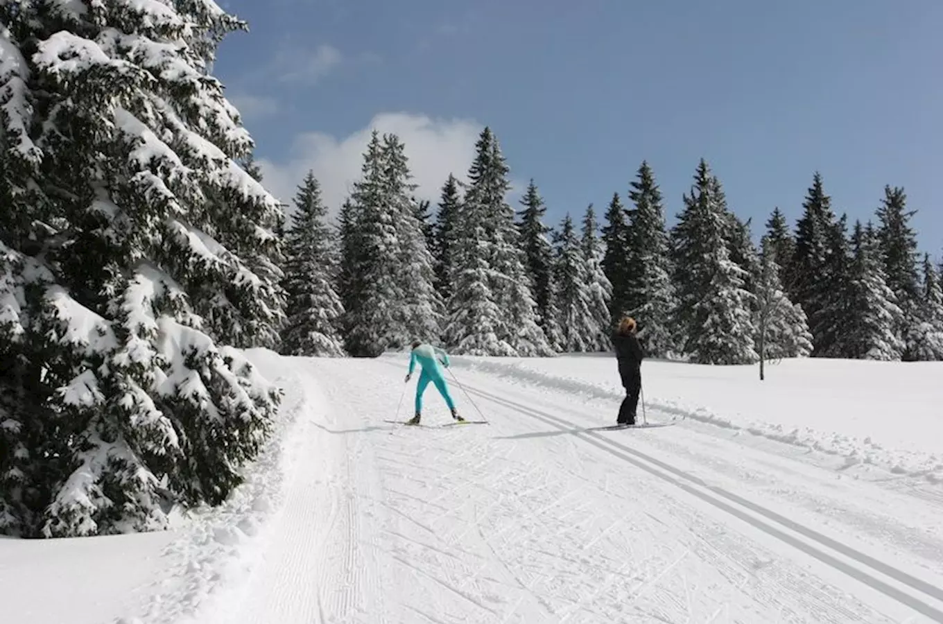 Šumavou na běžkách – z Modravy k samotě Březník