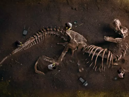 Fascinace dinosaury trvá už 200 let: objev ze Stonesfieldu a první dinosaurus