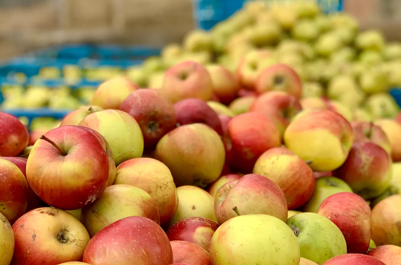 Karlín Market – karlínské farmářské trhy