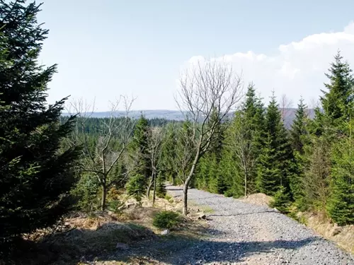 Osada Cínovec v Krušných horách – historie horského městečka a turistické cíle