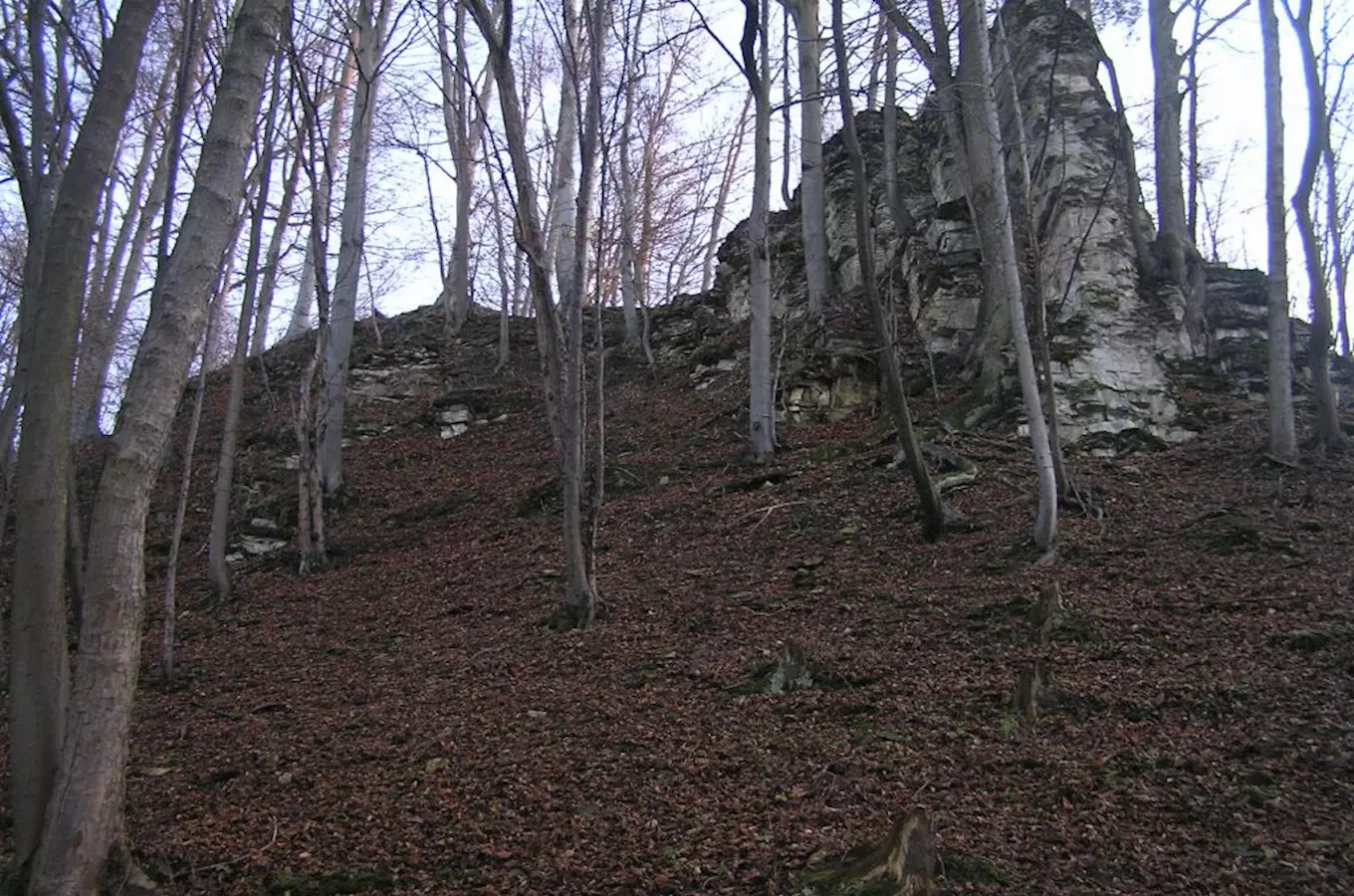 Hradiště a tvrz Hradníky u Chocně